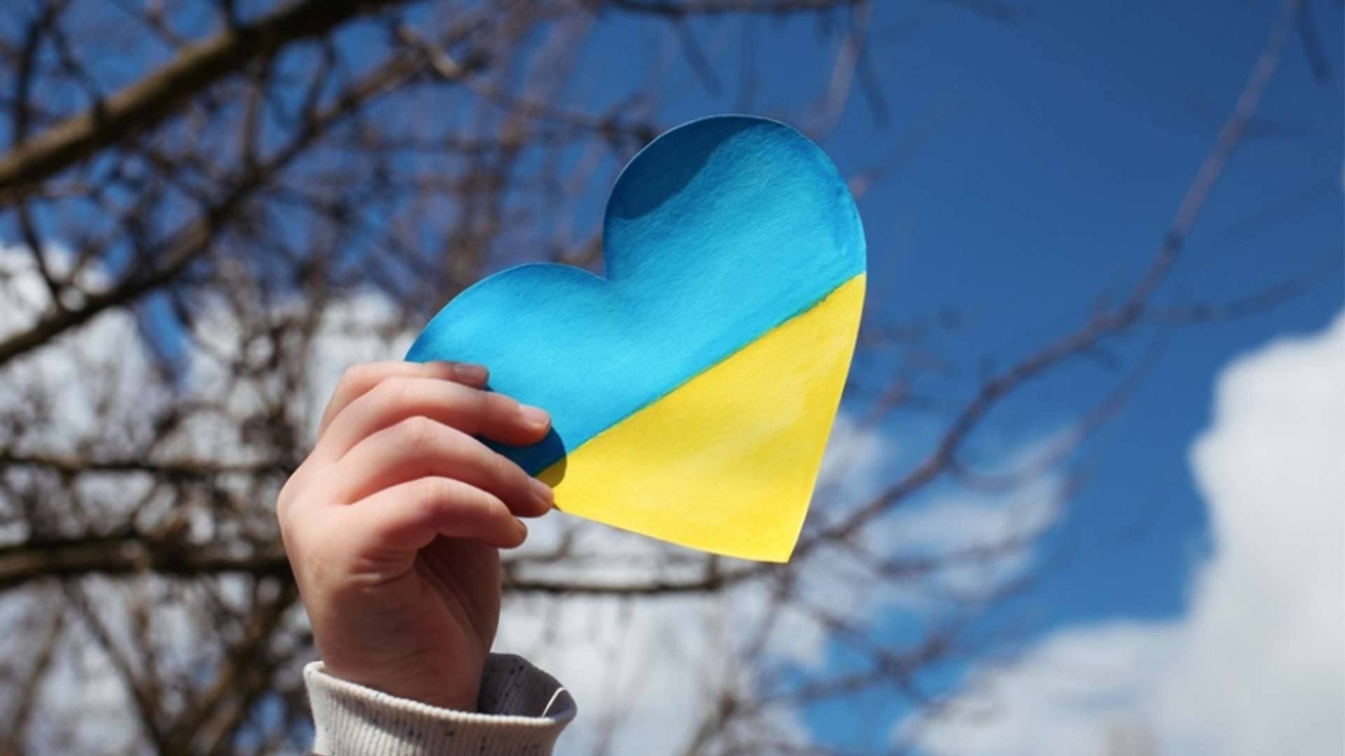 emergenza Ucraina